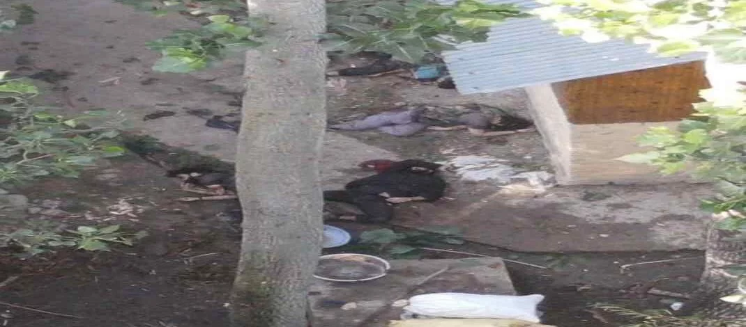 4 Terrorists Neutralised, 2 Army Personnel got martyred in Kulgam district of Anantnag in two ongoing Operations in Kashmir