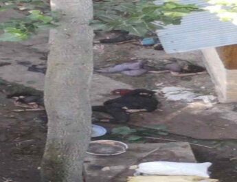 4 Terrorists Neutralised, 2 Army Personnel got martyred in Kulgam district of Anantnag in two ongoing Operations in Kashmir 3 Hello Uttarakhand News »