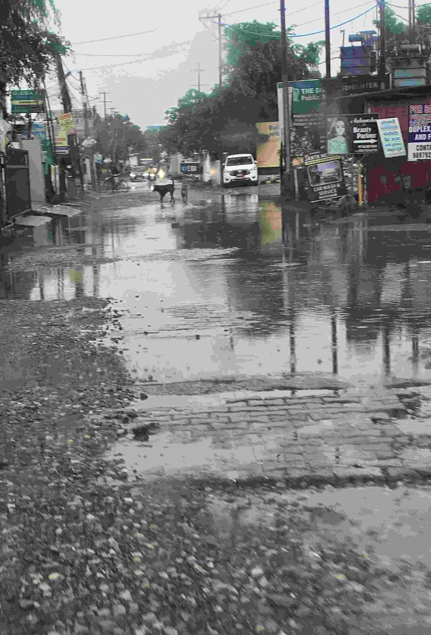 Dehradun’s ITBP Road in Poor Condition: देहरादून का ITBP Road वर्षों से बदहाल, जलभराव और गड्ढों से बढ़ा हादसों का खतरा 7 Dehradun’s ITBP Road in Poor Condition